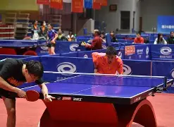 九游体育官方网站-包含板球常规赛，陇右海豚队与胶东铁骑队强势横扫，VAR改判成焦点！边路成突破口的词条